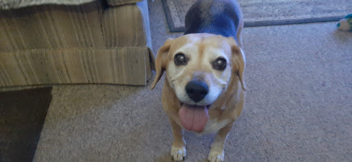 Mendoza Maria B DVM image