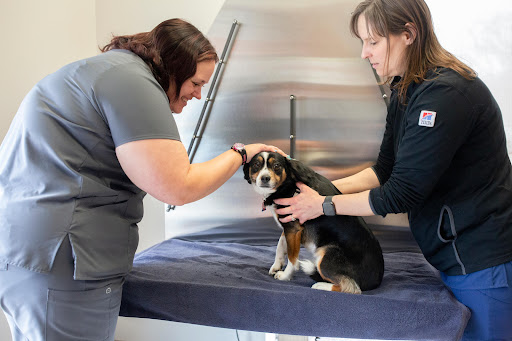 VCA Noyes Animal Hospital image