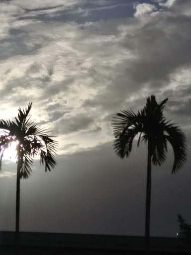 Motorcycle Dealer «Broward Motorsports of Ft. Lauderdale», reviews and photos, 1090 W Sunrise Blvd, Fort Lauderdale, FL 33409, USA