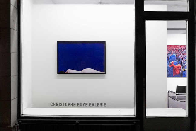 Christophe Guye Galerie Öffnungszeiten