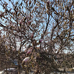 Photo n°9 de l'avis de Bublickson. fait le 07/04/2022 à 14:30 sur le  Zum Weißen Lamm à Oberzent