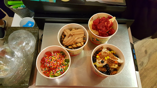 Frozen Yogurt Shop «The Pump House Frozen Yogurt Bar - Grand Rapids», reviews and photos, 2090 Celebration Dr NE #120, Grand Rapids, MI 49525, USA