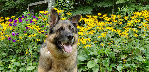 Pet Supply Store «Petsense London», reviews and photos, 1661 KY-192, London, KY 40741, USA