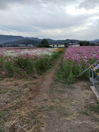 八幡宮