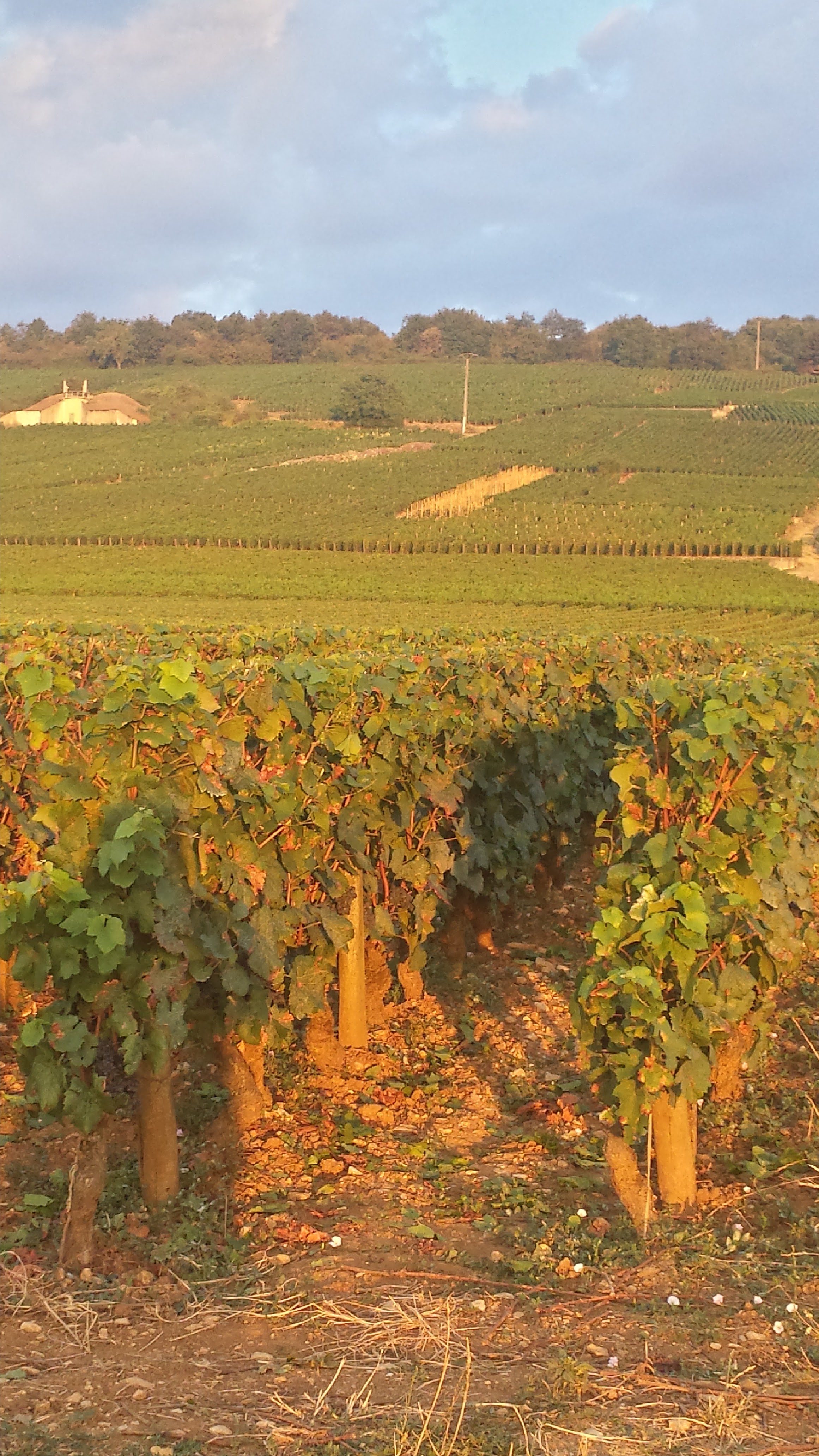 Photo n° 4 de l'avis de Jipi. fait le 17/08/2018 à 20:02
