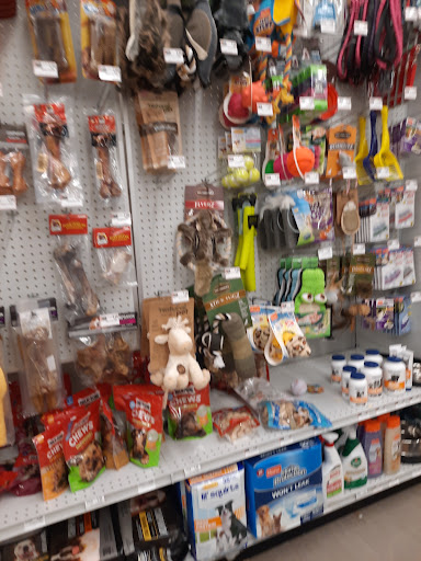 Grocery Store «Food Lion», reviews and photos, 6 Washington St, Cambridge, MD 21613, USA