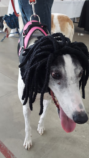 Sports Complex «All Star Family Fun & Events», reviews and photos, 2638 Emmitsburg Rd, Gettysburg, PA 17325, USA