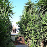 Photo n°6 de l'avis de Gianluca.a fait le 15/08/2021 à 15:29 sur le  Resort la Magnolia à Anzio