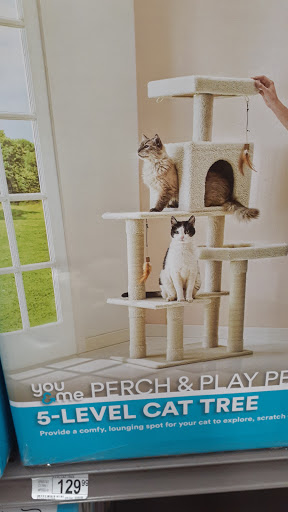 Pet Supply Store «Petco Animal Supplies», reviews and photos, 1670 Airport Blvd #700, Pensacola, FL 32504, USA