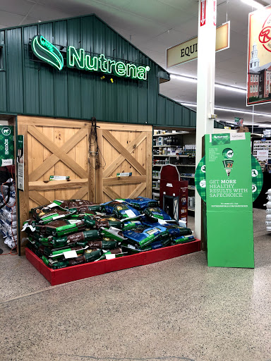 Department Store «Runnings of Brockport», reviews and photos, 4828 Lake Rd N, Brockport, NY 14420, USA