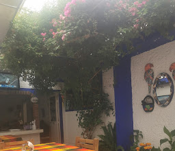 Restaurante LA VIOLETA photo