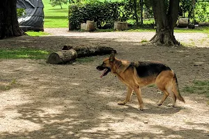 Totoredaca Dog Park image