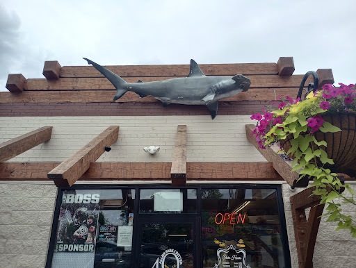 Pet Store «Critter Pet Shop», reviews and photos, 19309 Ecorse Rd, Allen Park, MI 48101, USA