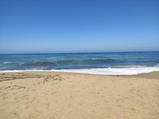 Praia da Foz