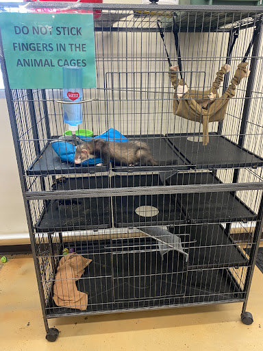 Pet Supply Store «Pet Supplies Plus», reviews and photos, 1661 Easton Rd #81, Warrington, PA 18976, USA