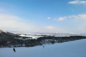 Shintotsukawa Sotchidake Ski Area image