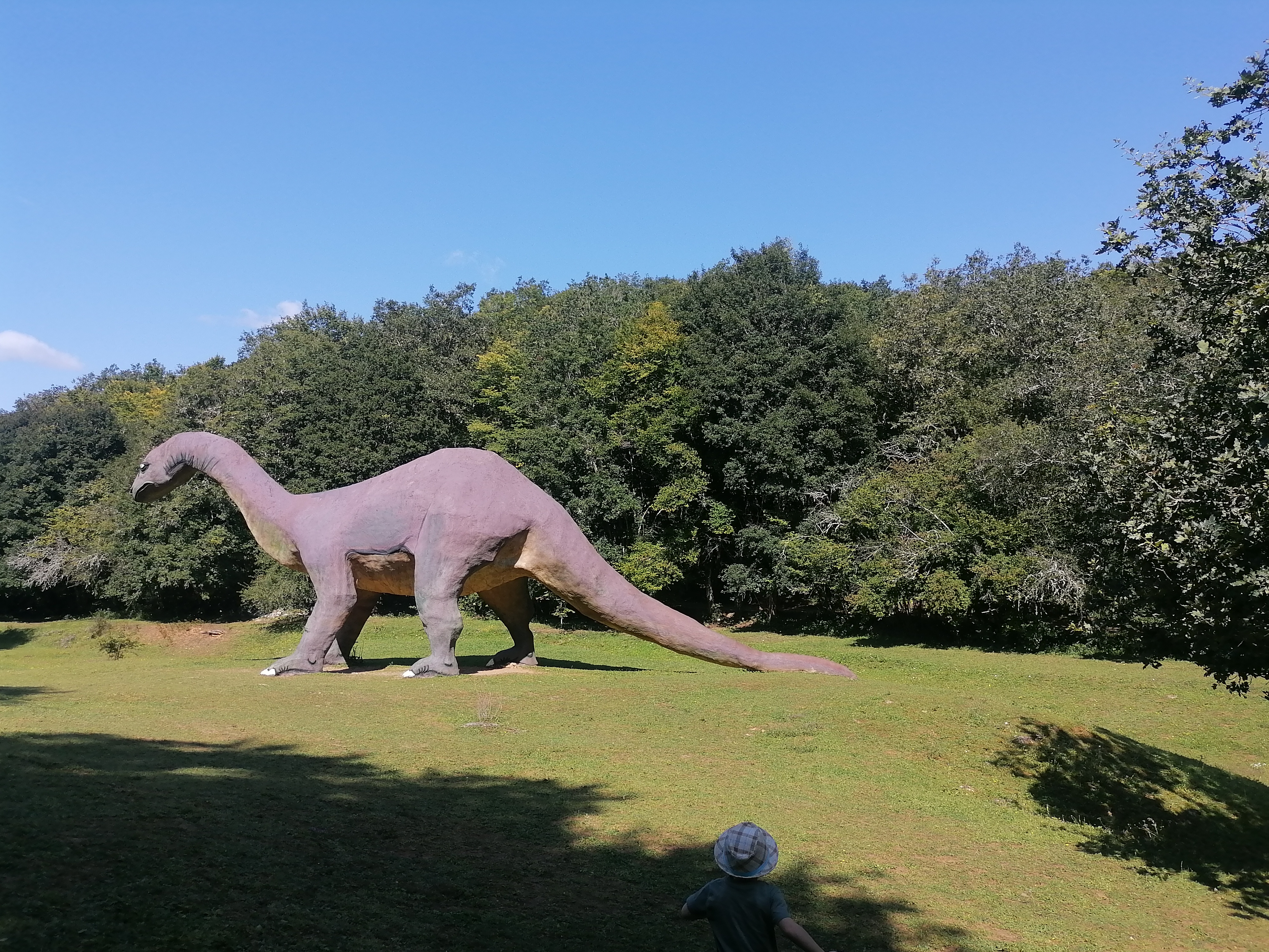 Photo n° 3 de l'avis de Manon.e fait le 24/08/2021 à 05:29