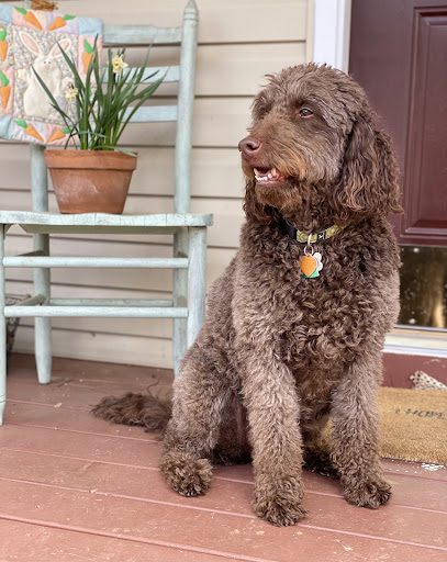 Kennel «Pampered Pets», reviews and photos, 601 Concord Ave, Charlottesville, VA 22903, USA