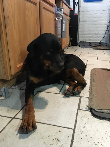 Pawn Shop «A1 Pawn», reviews and photos, 19395 N John Wayne Pkwy, Maricopa, AZ 85139, USA