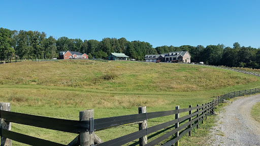 Country Club «Avalon Golf & Country Club», reviews and photos, 1299 Oak Chase Blvd, Lenoir City, TN 37772, USA