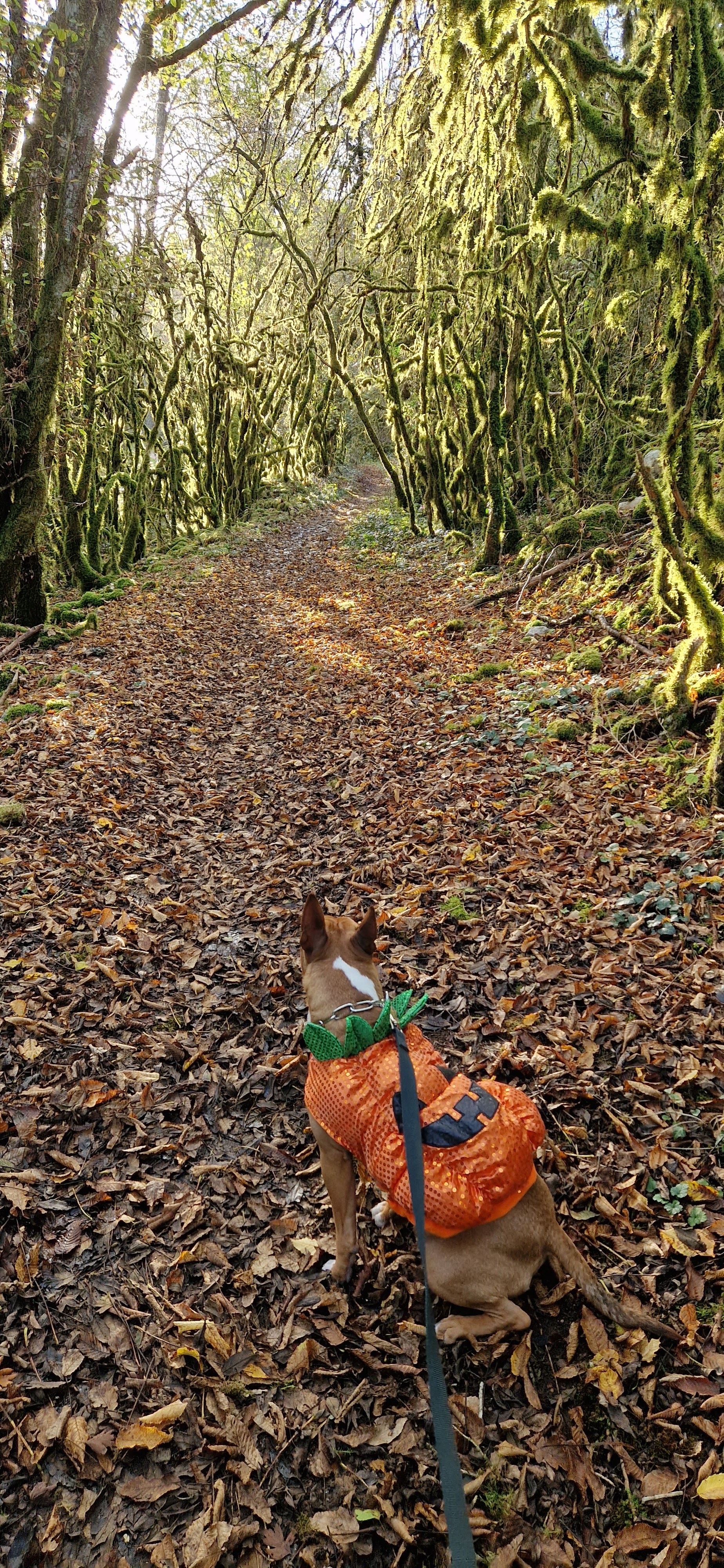 Photo n° 1 de l'avis de Les.0 fait le 23/11/2022 à 07:53
