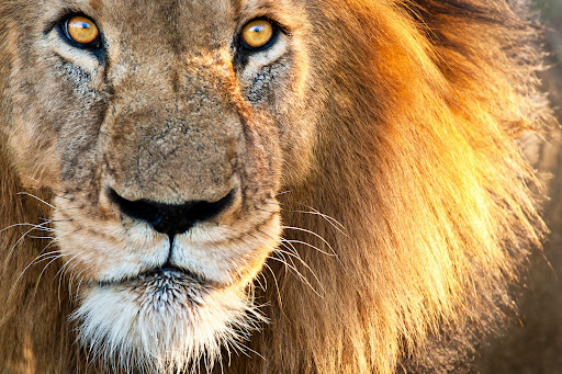 Travel Agency «Travel Beyond - Travel Agency», reviews and photos, 106 Broadway Ave S, Wayzata, MN 55391, USA