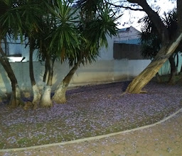 Fray Cimatario Park photo