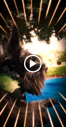 Park «Winston Park Nature Center», reviews and photos, 5201 NW 49th Ave, Coconut Creek, FL 33073, USA