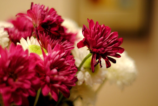 Florist «Lexis Florist», reviews and photos, 6102 Skyline Dr a, Houston, TX 77057, USA