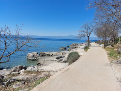 Photo de Dog Beach Atea Camping zone de l'hôtel