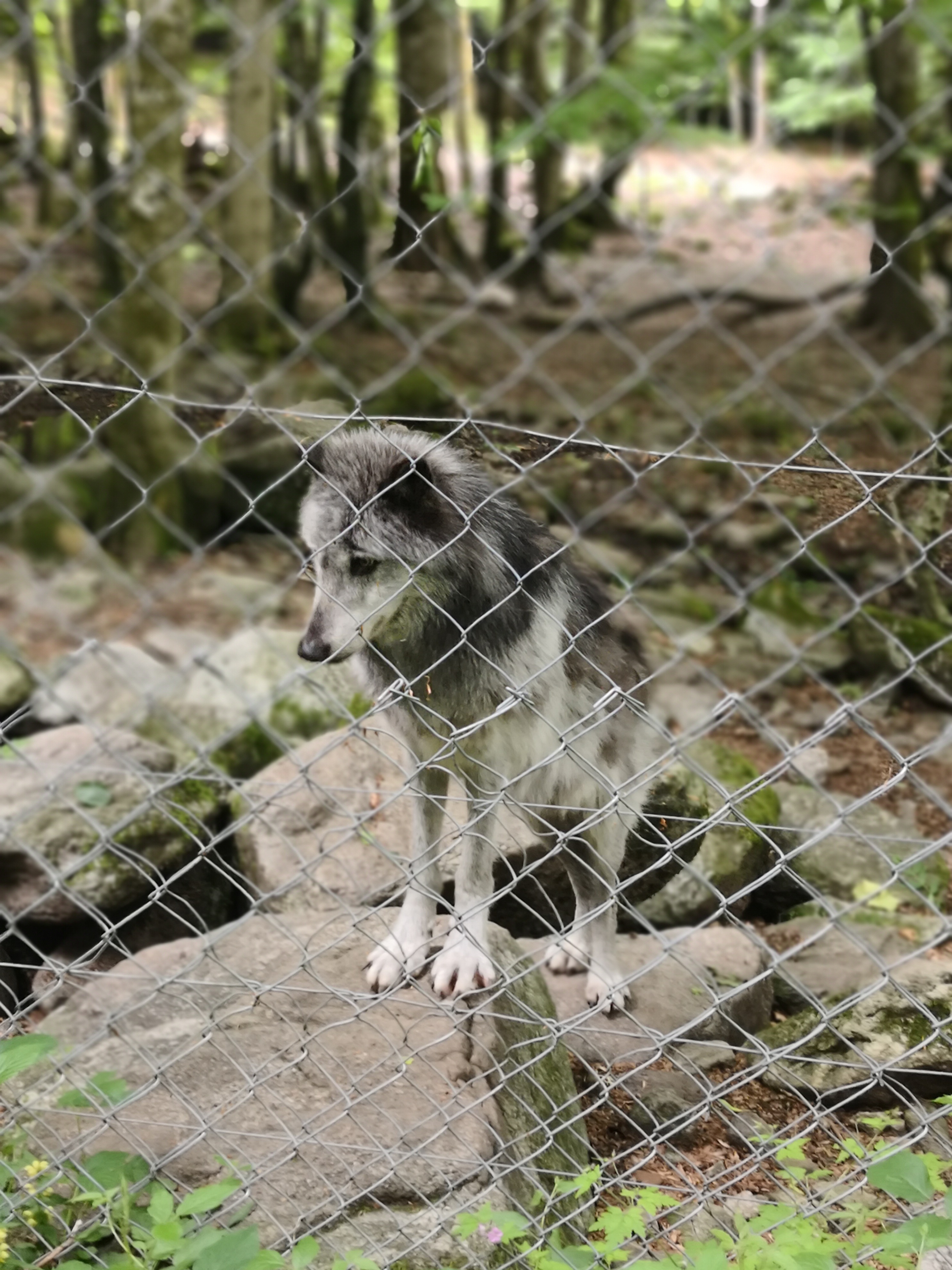 Photo n° 3 de l'avis de Denis.a fait le 08/06/2019 à 09:49