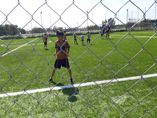 Campos de futbol publicos en Guadalajara