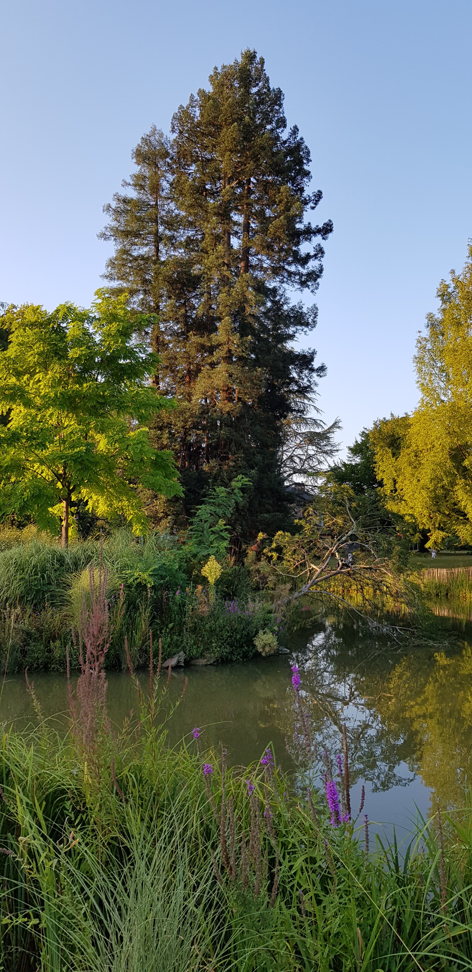 Photo n° 2 de l'avis de Gwenns. fait le 15/08/2020 à 06:50