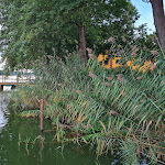 Photo n°3 de l'avis de Peter.e fait le 15/09/2021 à 08:15 sur le  Seehof Netzen à Kloster Lehnin