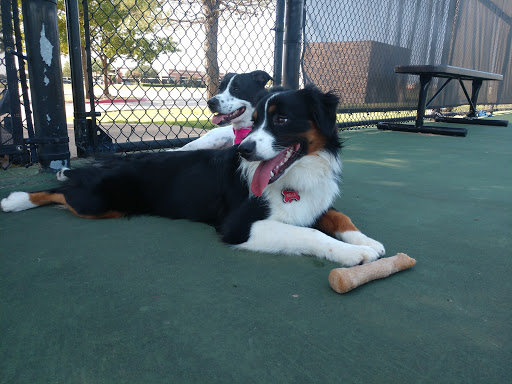 Recreation Center «Mustang Park Recreation Center», reviews and photos, 2223 Kinwest Pkwy, Irving, TX 75063, USA