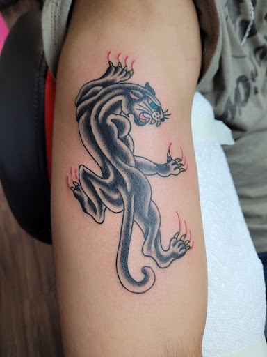 Explore ladies shoulder tattoo ideas, creative tattoo ideas in Syracuse, available at Working Class Tattoo