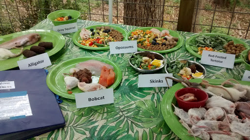 Government Office «Bear Hollow Wildlife Trail», reviews and photos, 293 Gran Ellen Dr, Athens, GA 30606, USA