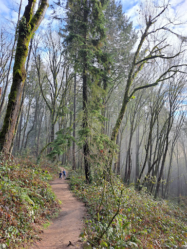 Flicker Trail