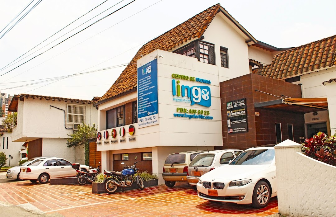 Centro De Idiomas Lingo