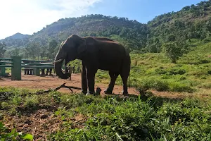 Kozhikamuthi Topslip Elephant Camp image