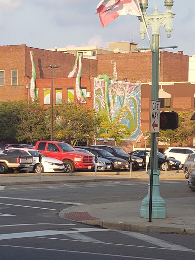 Live Music Venue «Buzzbin Art & Music Shop», reviews and photos, 331 Cleveland Ave NW, Canton, OH 44702, USA