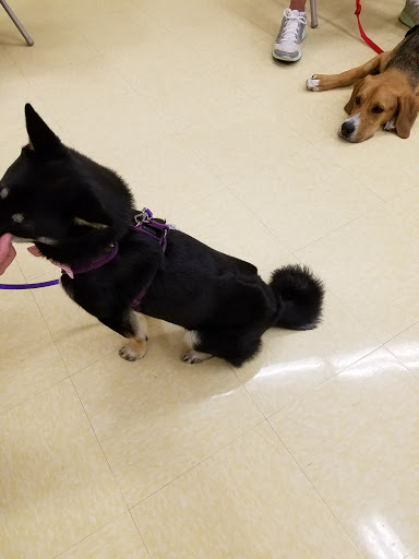 Pet Supply Store «Petco Animal Supplies», reviews and photos, 4540 Princess Anne Rd #128, Virginia Beach, VA 23462, USA