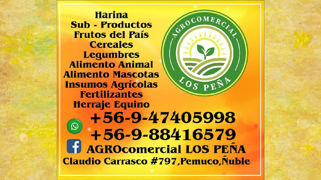 Agrocomercial Los PEÑA Ltda. - Supermercado