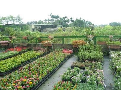 御鎂花卉園藝中心-庭園景觀設計 | 水果苗 | 果苗 | 樹苗 | 送禮盆景