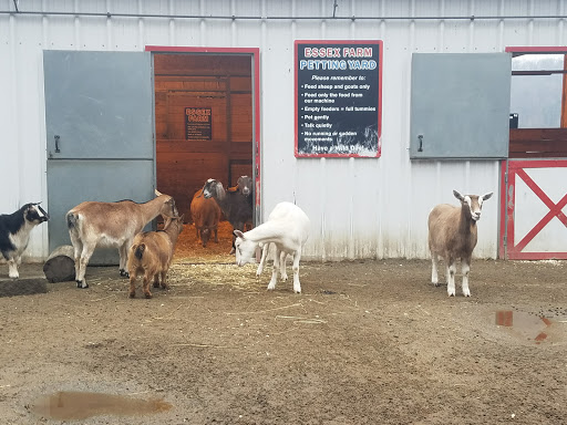 Zoo «Turtle Back Zoo», reviews and photos, 560 Northfield Ave, West Orange, NJ 07052, USA