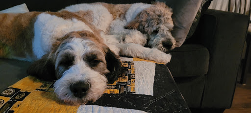 Whitecourt Veterinary Clinic image