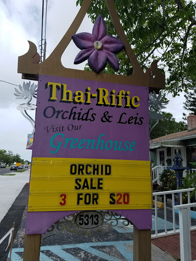 Florist «Thai-Rific Orchids Inc», reviews and photos, 5313 Gulfport Blvd S, Gulfport, FL 33707, USA