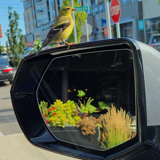Cadillac Dealer «Lockhart Cadillac», reviews and photos, 9265 E 126th St, Fishers, IN 46038, USA