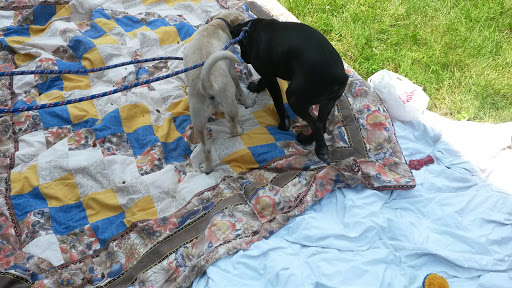 Auto Parts Store «A&A Auto Stores», reviews and photos, 360 N 9th St, Stroudsburg, PA 18360, USA