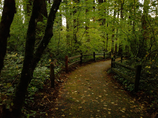 State Park «Willamette Stone State Heritage Site», reviews and photos, 253 NW Skyline Blvd, Portland, OR 97210, USA